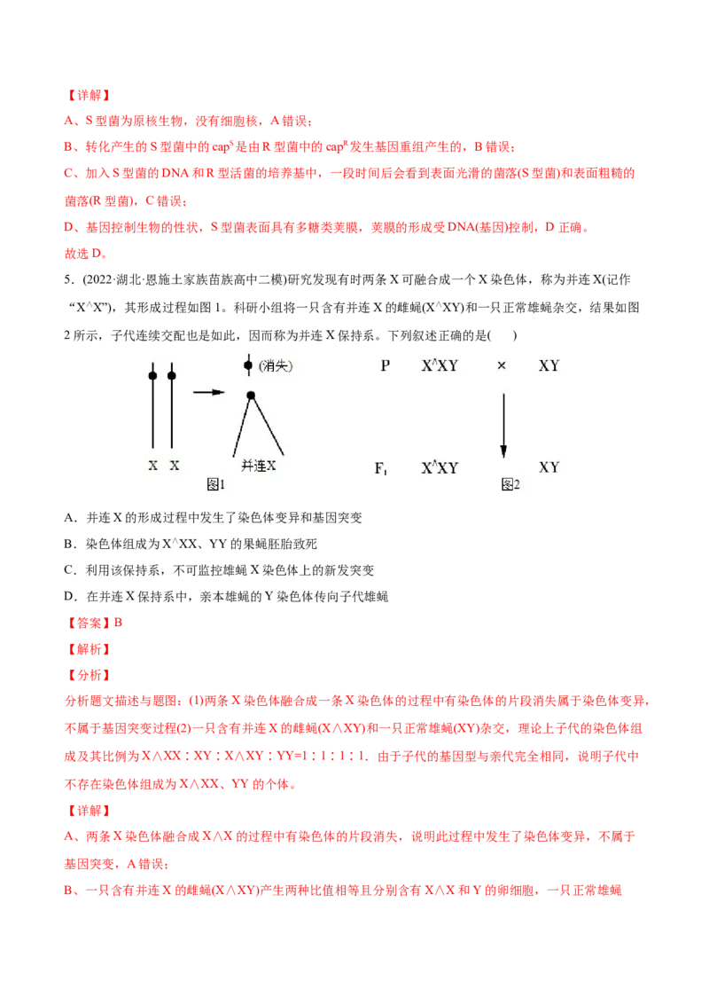 专题08生物的变异和进化-2022年高考真题和模拟题生物分专题训练（教师版含解析）_2024年新高考资料_1.2024一轮复习_赠2022年高考生物真题与模拟题分类
