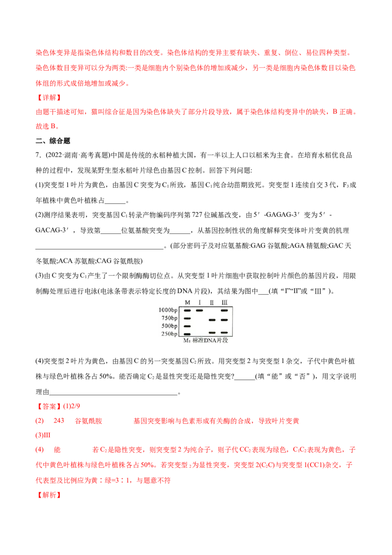 专题08生物的变异和进化-2022年高考真题和模拟题生物分专题训练（教师版含解析）_2024年新高考资料_1.2024一轮复习_赠2022年高考生物真题与模拟题分类