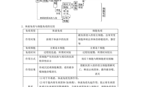专题26免疫调节（串讲）（原卷版）_2024年新高考资料_1.2024一轮复习_备战2024年高考生物一轮复习串讲精练（新高考专用）