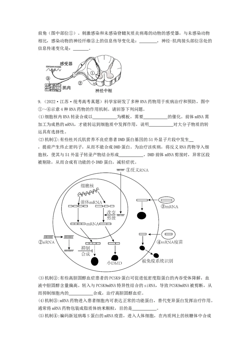专题26免疫调节（串讲）（原卷版）_2024年新高考资料_1.2024一轮复习_备战2024年高考生物一轮复习串讲精练（新高考专用）