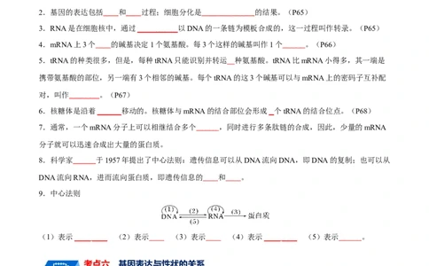 宝典08遗传的分子基础（原卷版）_2024年新高考资料_1.2024一轮复习_2024年高考生物一轮复习知识清单