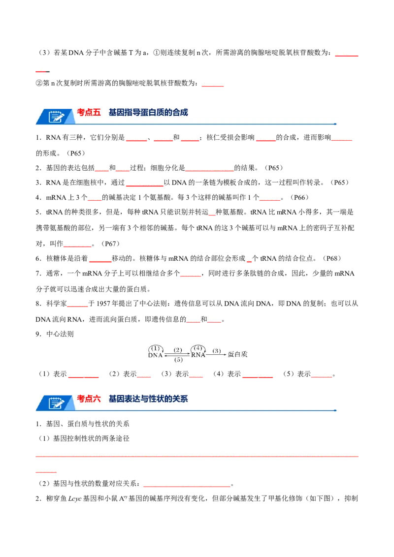 宝典08遗传的分子基础（原卷版）_2024年新高考资料_1.2024一轮复习_2024年高考生物一轮复习知识清单