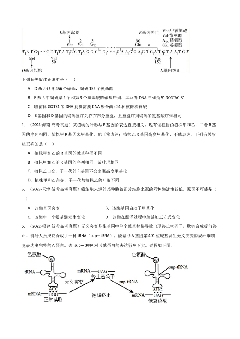 宝典08遗传的分子基础（原卷版）_2024年新高考资料_1.2024一轮复习_2024年高考生物一轮复习知识清单