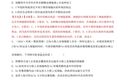专题02细胞的基本结构和物质运输（解析版）_2024年新高考资料_3.2024专项复习_备战2024年高考生物一轮复习重难点突破讲解与训练（新教材）