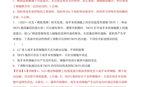 专题02细胞的基本结构和物质运输（解析版）_2024年新高考资料_3.2024专项复习_备战2024年高考生物一轮复习重难点突破讲解与训练（新教材）