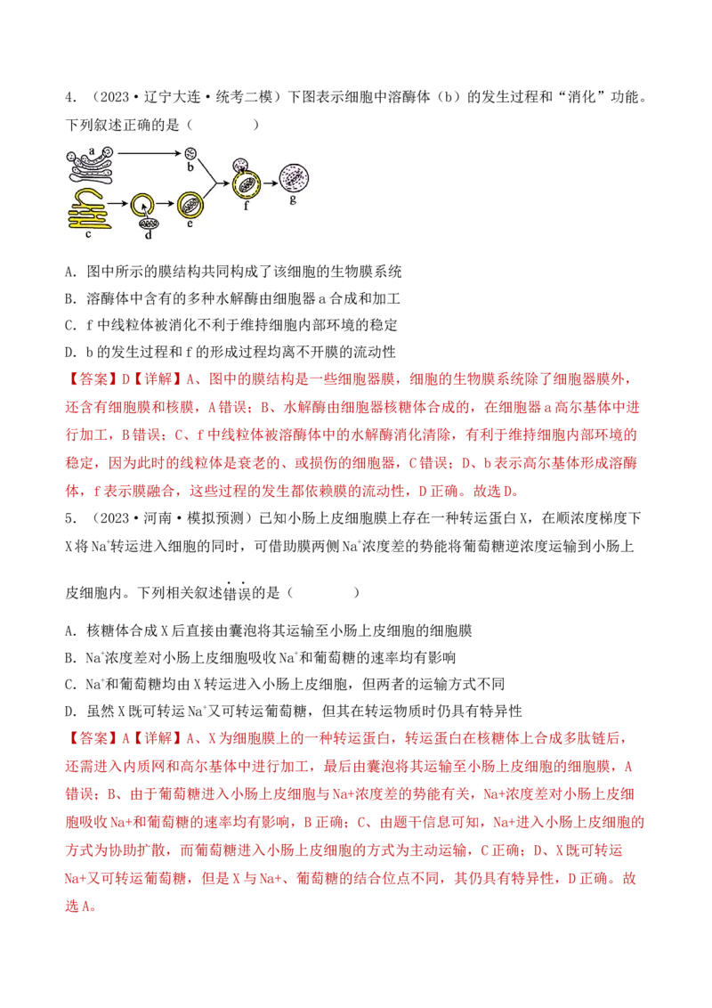 专题02细胞的基本结构和物质运输（解析版）_2024年新高考资料_3.2024专项复习_备战2024年高考生物一轮复习重难点突破讲解与训练（新教材）