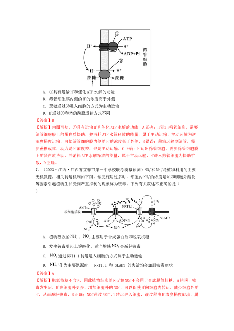 专题07物质的运输（解析版）_2024年新高考资料_1.2024一轮复习_备战2024年高考生物一轮复习抢分特训（全国通用）_专题07+物质的运输-备战2024年高考生物一轮复习抢分特训（全国通用）