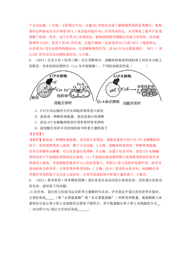 专题07物质的运输（解析版）_2024年新高考资料_1.2024一轮复习_备战2024年高考生物一轮复习抢分特训（全国通用）_专题07+物质的运输-备战2024年高考生物一轮复习抢分特训（全国通用）
