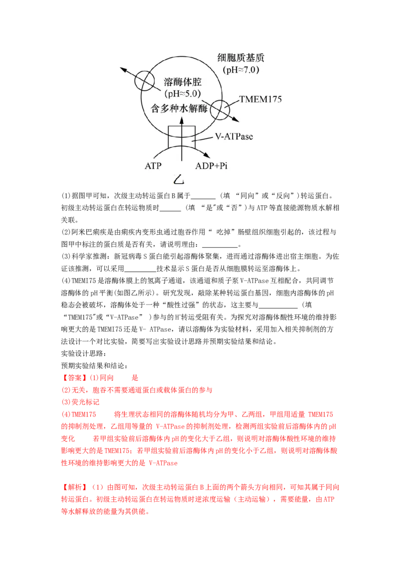 专题07物质的运输（解析版）_2024年新高考资料_1.2024一轮复习_备战2024年高考生物一轮复习抢分特训（全国通用）_专题07+物质的运输-备战2024年高考生物一轮复习抢分特训（全国通用）