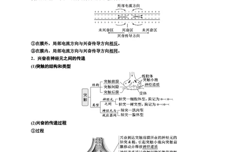 专题26神经调节（解析版)_2024年新高考资料_3.2024专项复习_备战2024年高考生物一轮复习重难点专项突破_专题26神经调节-备战2024年高考生物一轮复习重难点专项突破