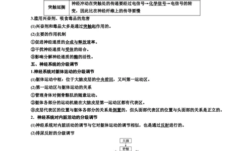 专题26神经调节（解析版)_2024年新高考资料_3.2024专项复习_备战2024年高考生物一轮复习重难点专项突破_专题26神经调节-备战2024年高考生物一轮复习重难点专项突破