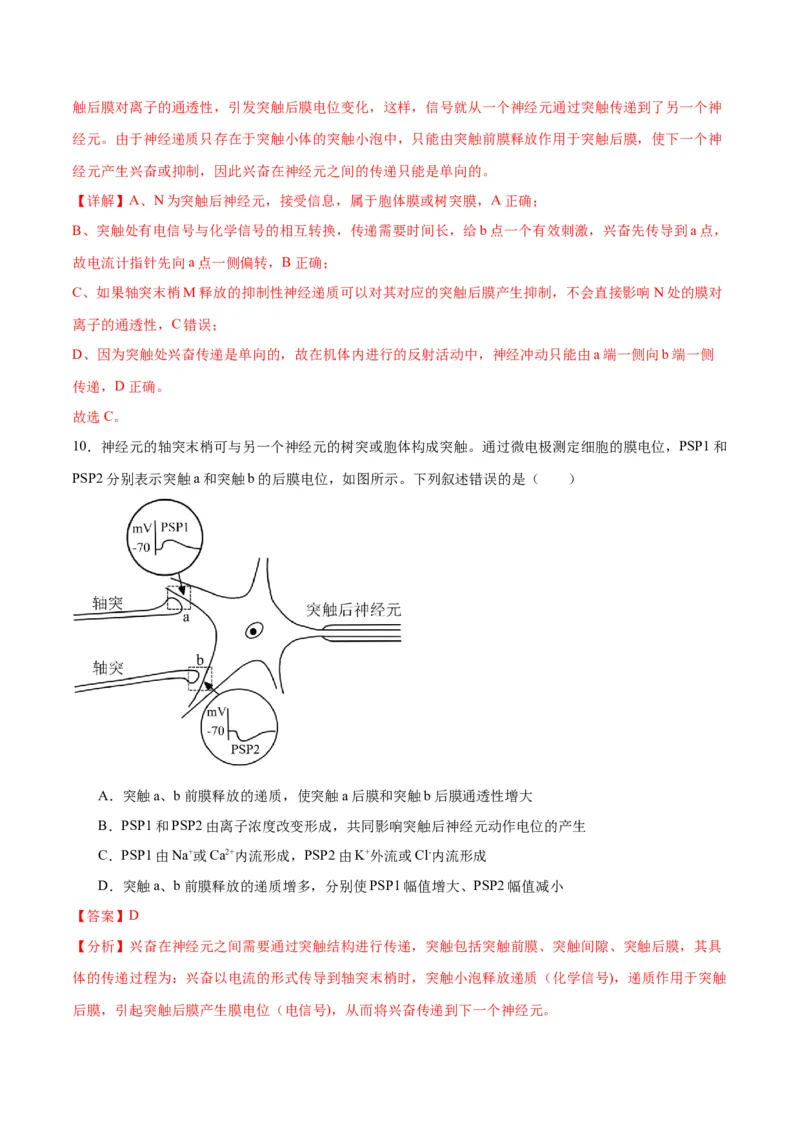 专题26神经调节（解析版)_2024年新高考资料_3.2024专项复习_备战2024年高考生物一轮复习重难点专项突破_专题26神经调节-备战2024年高考生物一轮复习重难点专项突破