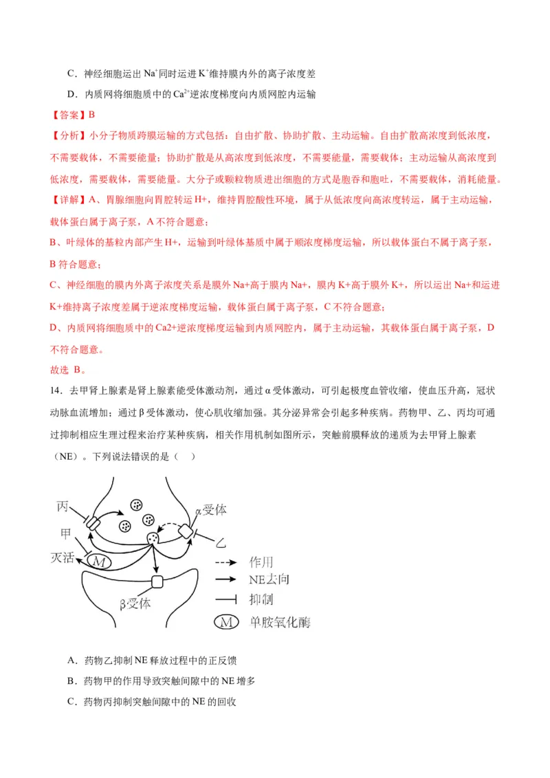 专题26神经调节（解析版)_2024年新高考资料_3.2024专项复习_备战2024年高考生物一轮复习重难点专项突破_专题26神经调节-备战2024年高考生物一轮复习重难点专项突破