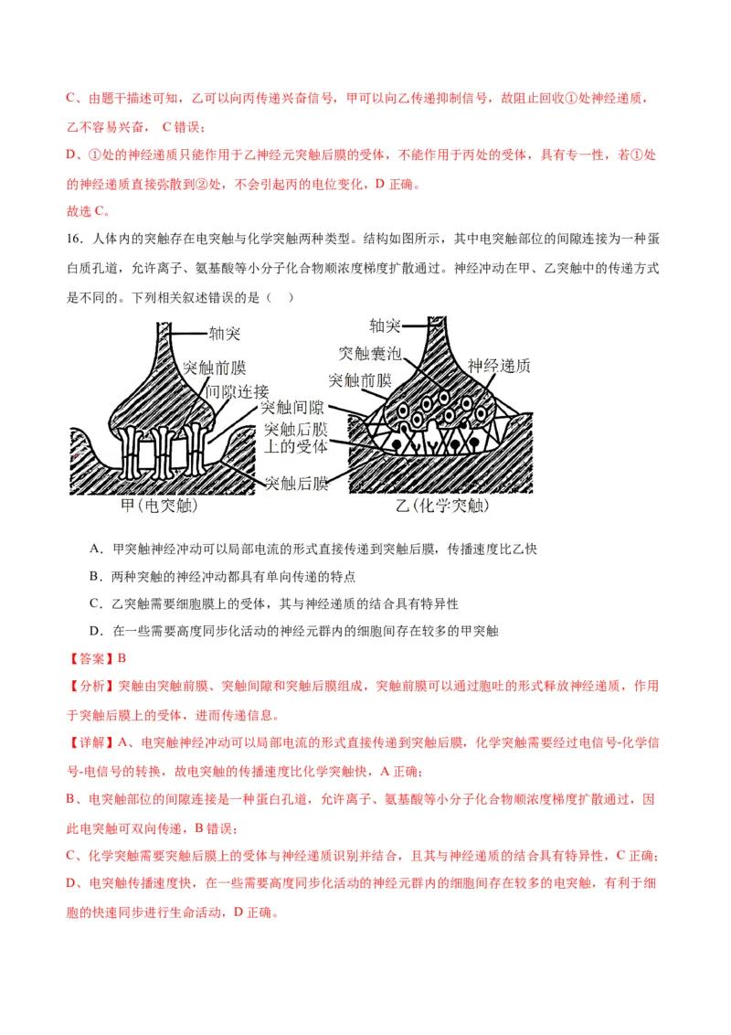 专题26神经调节（解析版)_2024年新高考资料_3.2024专项复习_备战2024年高考生物一轮复习重难点专项突破_专题26神经调节-备战2024年高考生物一轮复习重难点专项突破