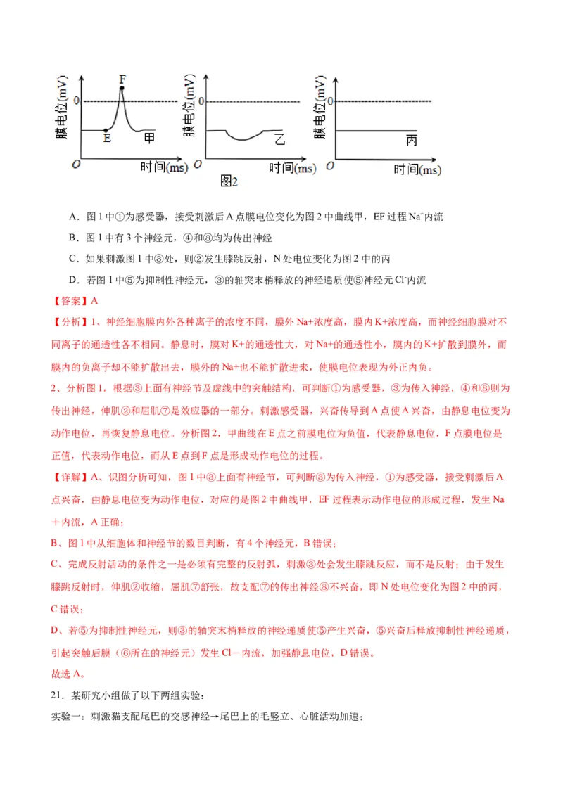 专题26神经调节（解析版)_2024年新高考资料_3.2024专项复习_备战2024年高考生物一轮复习重难点专项突破_专题26神经调节-备战2024年高考生物一轮复习重难点专项突破
