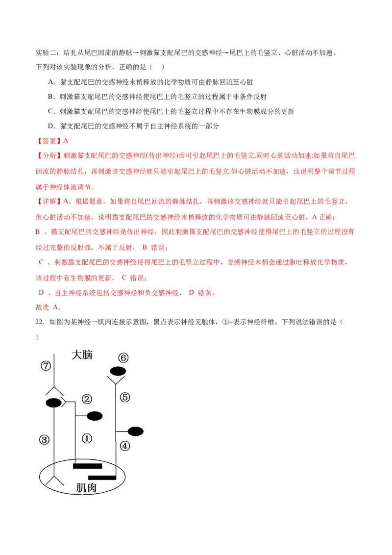 专题26神经调节（解析版)_2024年新高考资料_3.2024专项复习_备战2024年高考生物一轮复习重难点专项突破_专题26神经调节-备战2024年高考生物一轮复习重难点专项突破