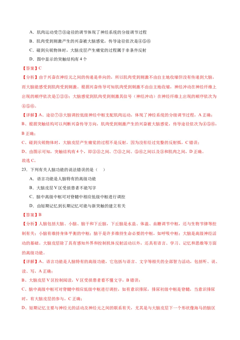 专题26神经调节（解析版)_2024年新高考资料_3.2024专项复习_备战2024年高考生物一轮复习重难点专项突破_专题26神经调节-备战2024年高考生物一轮复习重难点专项突破