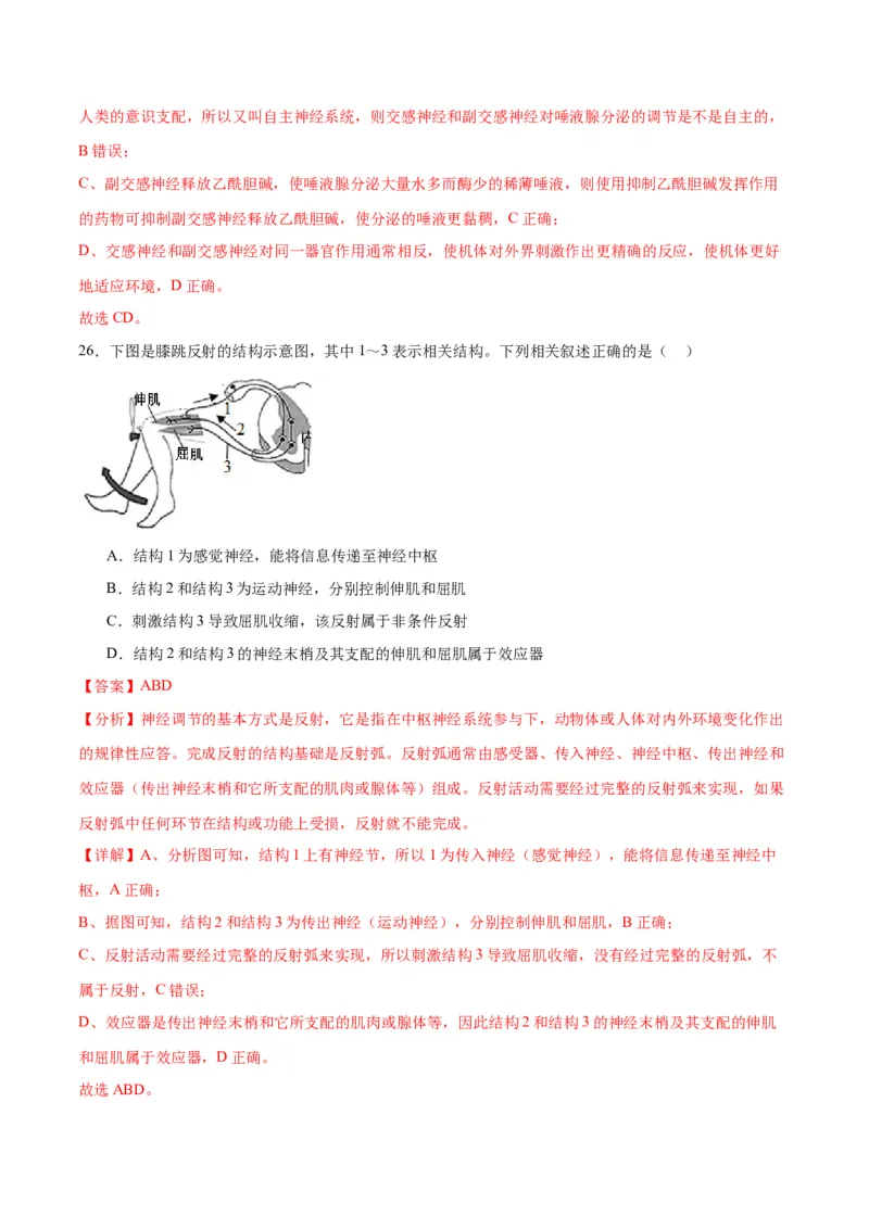 专题26神经调节（解析版)_2024年新高考资料_3.2024专项复习_备战2024年高考生物一轮复习重难点专项突破_专题26神经调节-备战2024年高考生物一轮复习重难点专项突破