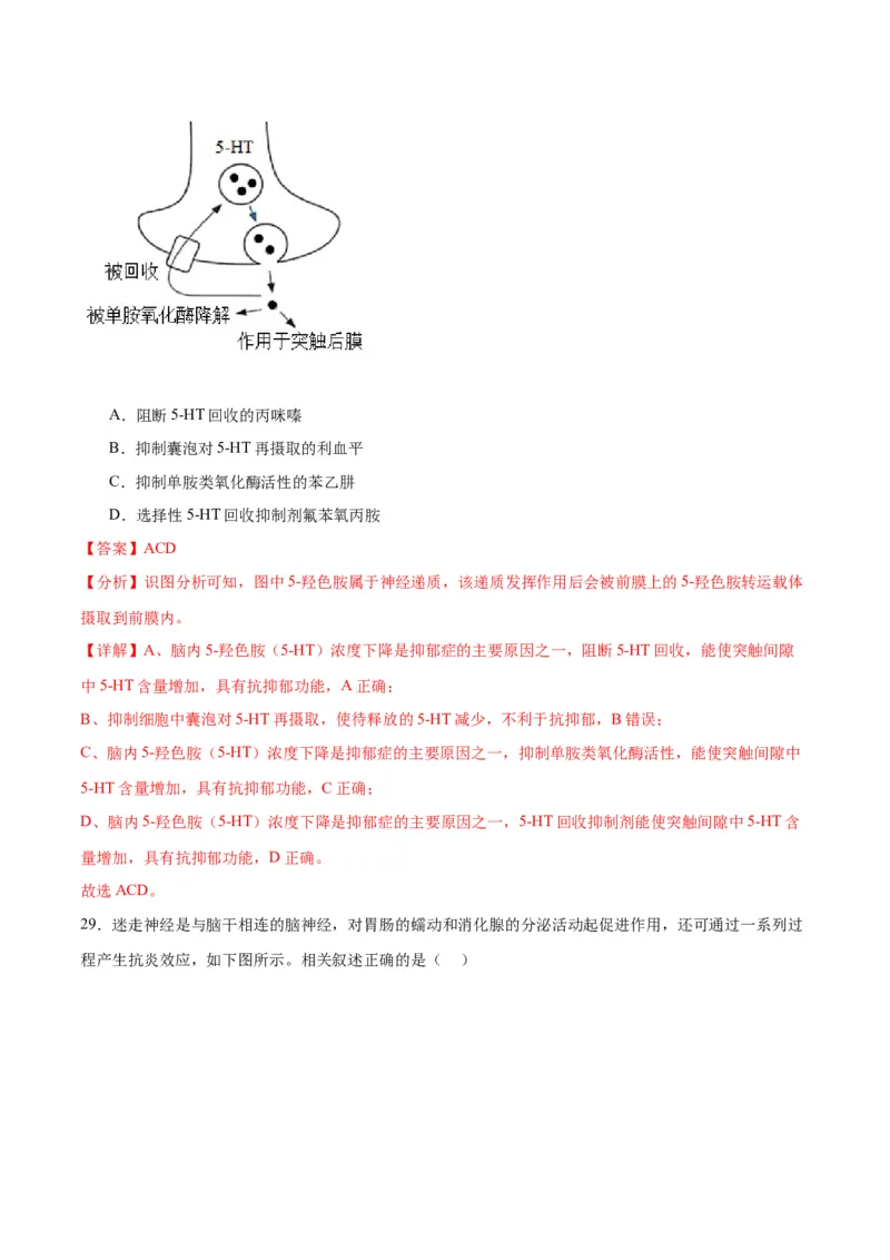 专题26神经调节（解析版)_2024年新高考资料_3.2024专项复习_备战2024年高考生物一轮复习重难点专项突破_专题26神经调节-备战2024年高考生物一轮复习重难点专项突破