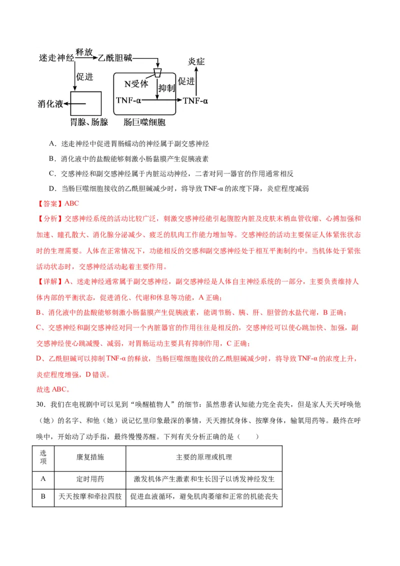 专题26神经调节（解析版)_2024年新高考资料_3.2024专项复习_备战2024年高考生物一轮复习重难点专项突破_专题26神经调节-备战2024年高考生物一轮复习重难点专项突破