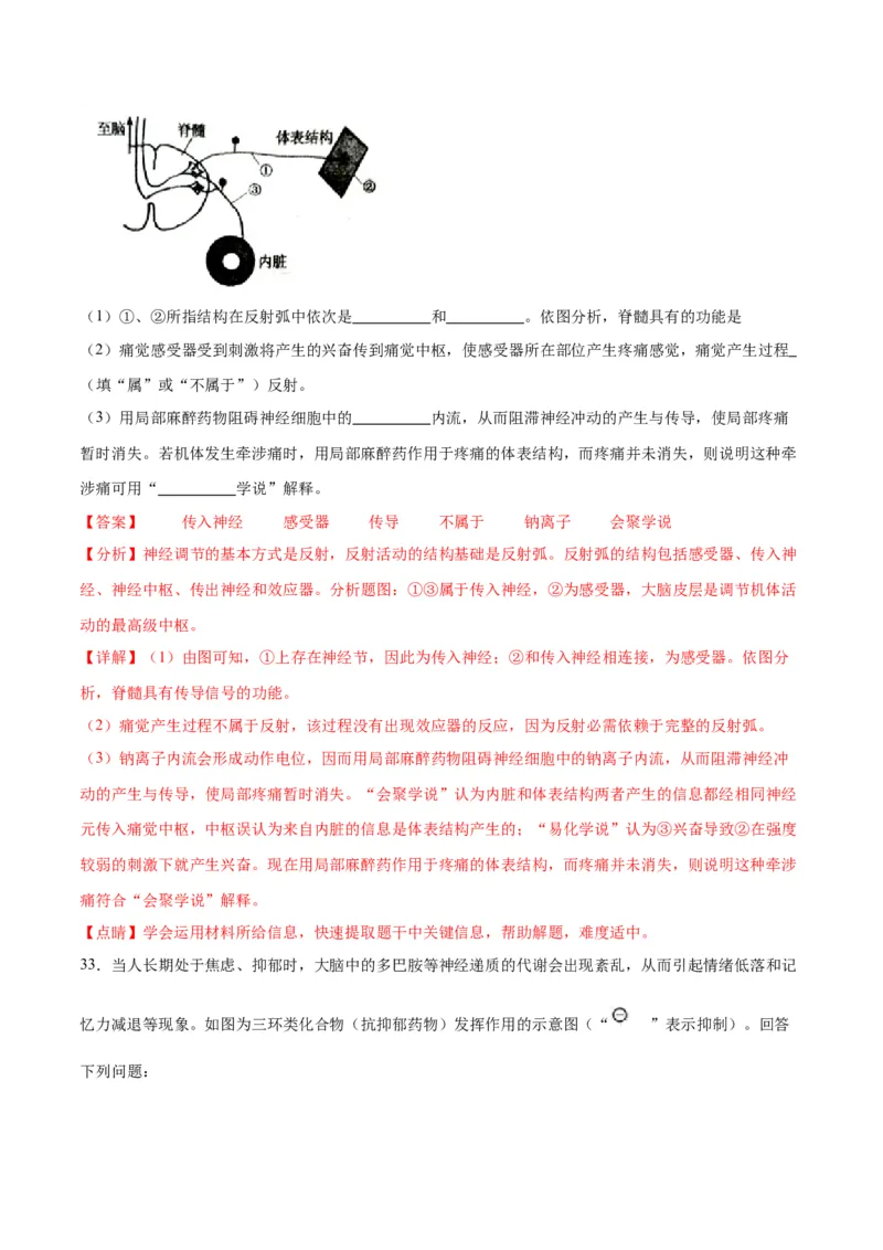 专题26神经调节（解析版)_2024年新高考资料_3.2024专项复习_备战2024年高考生物一轮复习重难点专项突破_专题26神经调节-备战2024年高考生物一轮复习重难点专项突破