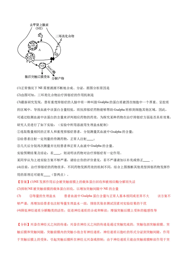 专题26神经调节（解析版)_2024年新高考资料_3.2024专项复习_备战2024年高考生物一轮复习重难点专项突破_专题26神经调节-备战2024年高考生物一轮复习重难点专项突破