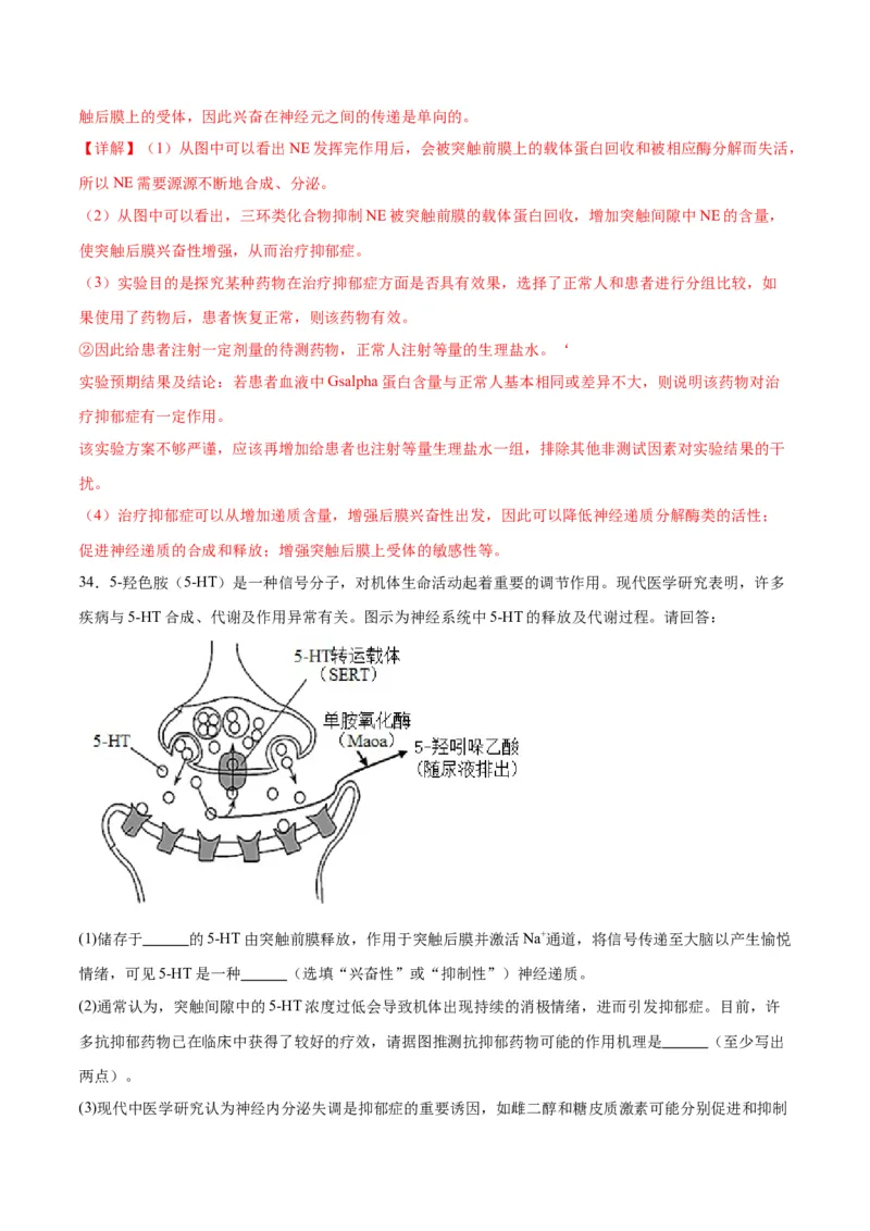 专题26神经调节（解析版)_2024年新高考资料_3.2024专项复习_备战2024年高考生物一轮复习重难点专项突破_专题26神经调节-备战2024年高考生物一轮复习重难点专项突破