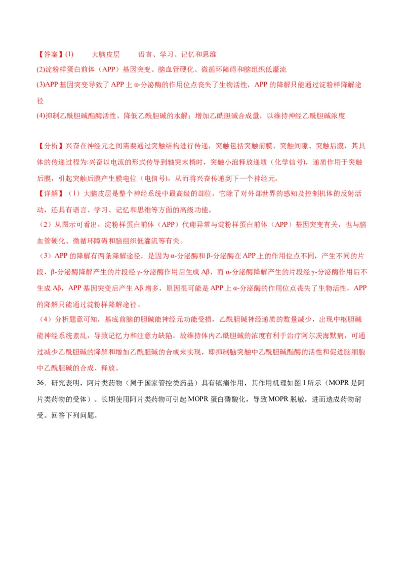 专题26神经调节（解析版)_2024年新高考资料_3.2024专项复习_备战2024年高考生物一轮复习重难点专项突破_专题26神经调节-备战2024年高考生物一轮复习重难点专项突破