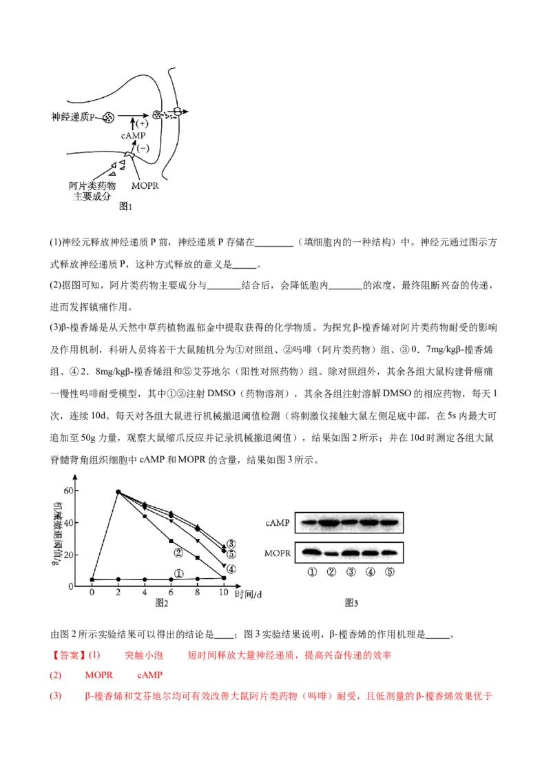 专题26神经调节（解析版)_2024年新高考资料_3.2024专项复习_备战2024年高考生物一轮复习重难点专项突破_专题26神经调节-备战2024年高考生物一轮复习重难点专项突破