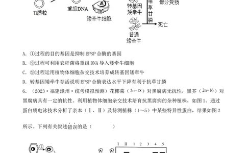 专题16植物细胞工程（原卷版）_2024年新高考资料_3.2024专项复习_备战2024年高考生物一轮复习重难点突破讲解与训练（新教材）