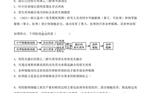 专题16植物细胞工程（原卷版）_2024年新高考资料_3.2024专项复习_备战2024年高考生物一轮复习重难点突破讲解与训练（新教材）