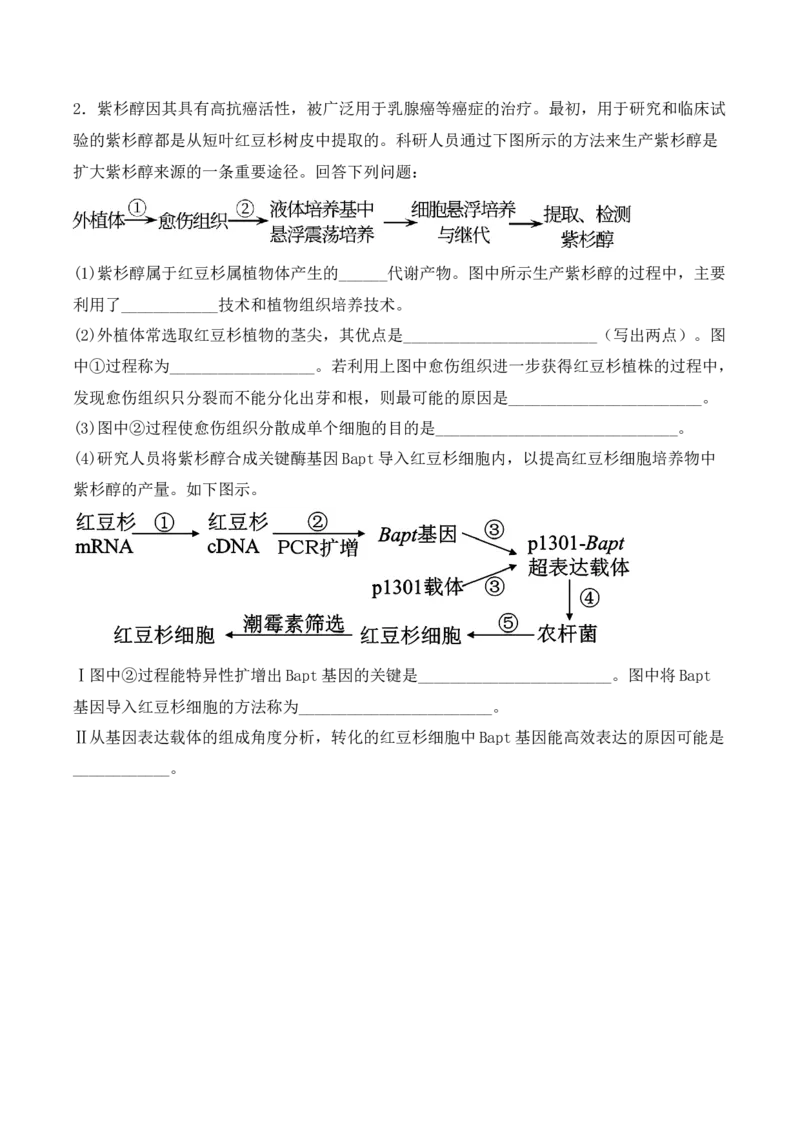 专题16植物细胞工程（原卷版）_2024年新高考资料_3.2024专项复习_备战2024年高考生物一轮复习重难点突破讲解与训练（新教材）