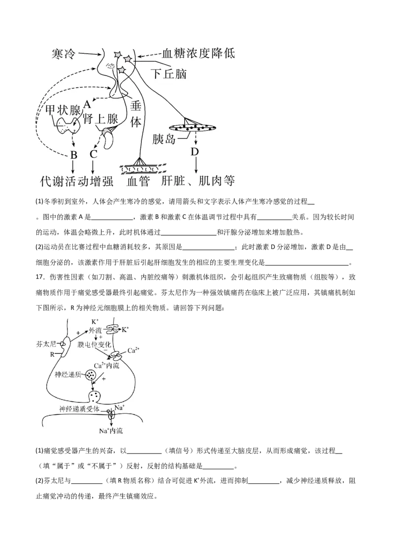 单元检测卷08稳态与调节（原卷版）_2024年新高考资料_1.2024一轮复习_2024年高考生物一轮复习考点通关卷（新高考通用）