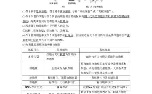 2022年高考生物一轮复习第1单元第1讲　走近细胞_新高考复习资料_2022年新高考复习资料_2022年一轮复习最新版_1.2022年高考生物一轮复习全国通用版