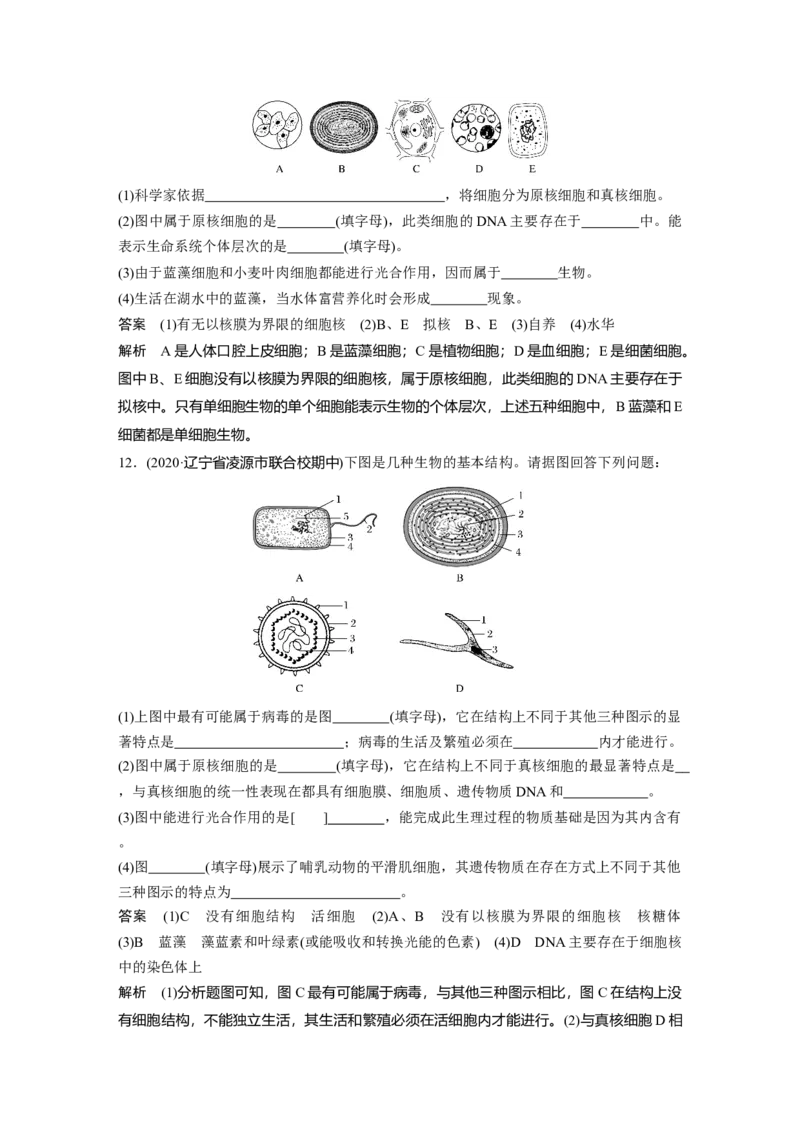 2022年高考生物一轮复习第1单元第1讲　走近细胞_新高考复习资料_2022年新高考复习资料_2022年一轮复习最新版_1.2022年高考生物一轮复习全国通用版