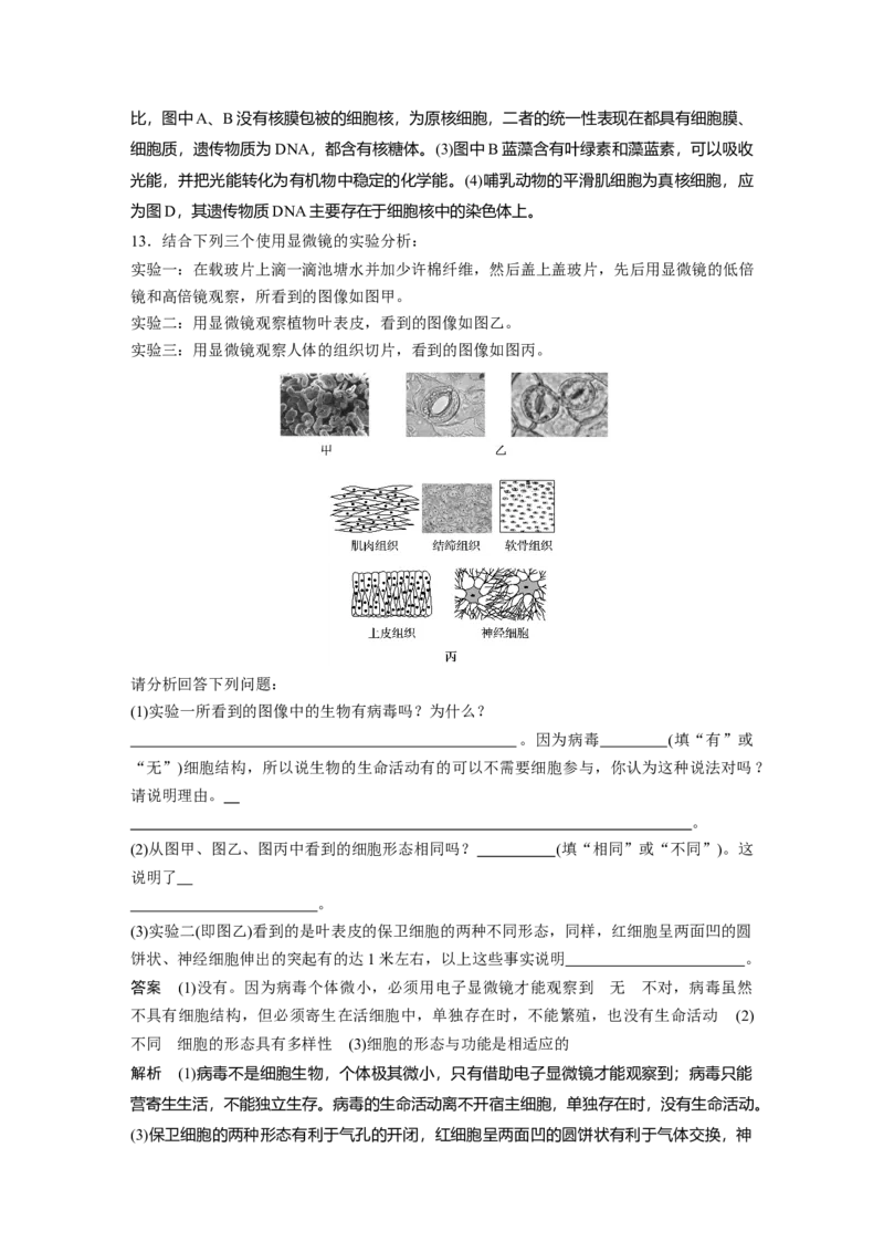 2022年高考生物一轮复习第1单元第1讲　走近细胞_新高考复习资料_2022年新高考复习资料_2022年一轮复习最新版_1.2022年高考生物一轮复习全国通用版