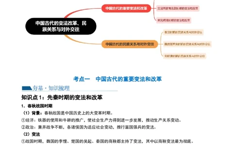 第10讲中国古代的变法改革、民族关系与对外交往（解析版）_2024年新高考资料_1.2024一轮复习_2024年高考历史一轮复习讲练测（新教材新高考）_492