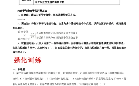 专题16分离定律（解析版)_2024年新高考资料_3.2024专项复习_备战2024年高考生物一轮复习重难点专项突破_专题16分离定律