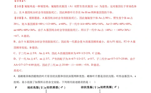 专题16分离定律（解析版)_2024年新高考资料_3.2024专项复习_备战2024年高考生物一轮复习重难点专项突破_专题16分离定律
