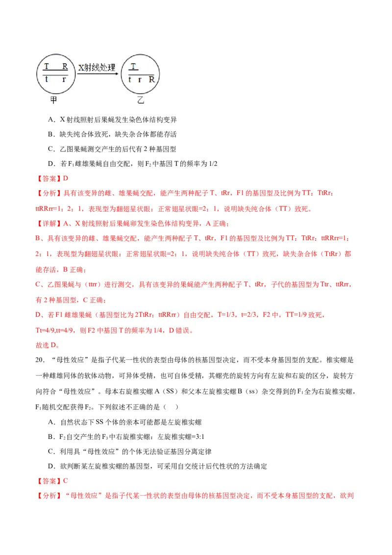 专题16分离定律（解析版)_2024年新高考资料_3.2024专项复习_备战2024年高考生物一轮复习重难点专项突破_专题16分离定律