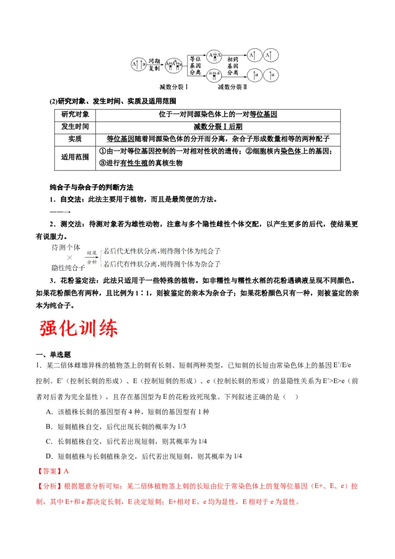 专题16分离定律（解析版)_2024年新高考资料_3.2024专项复习_备战2024年高考生物一轮复习重难点专项突破_专题16分离定律