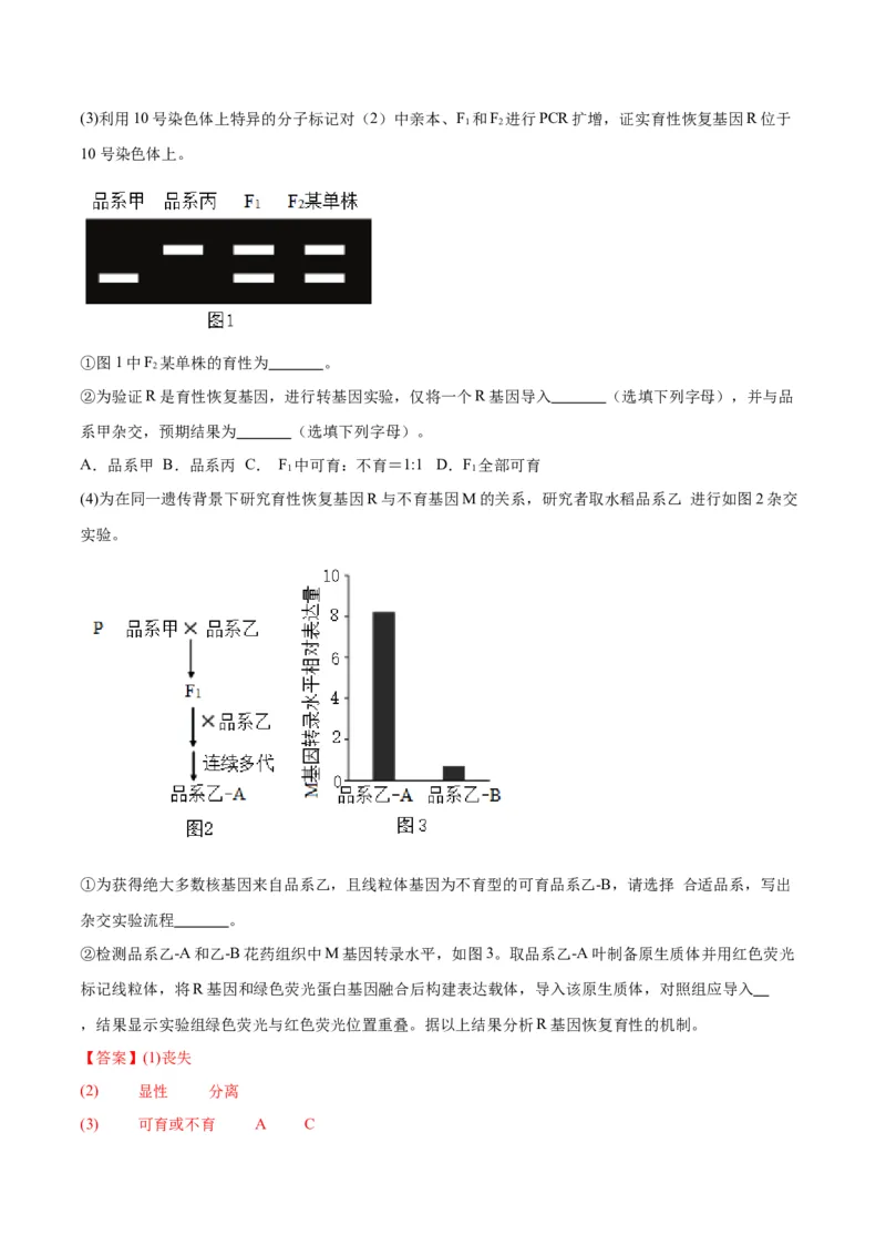 专题16分离定律（解析版)_2024年新高考资料_3.2024专项复习_备战2024年高考生物一轮复习重难点专项突破_专题16分离定律