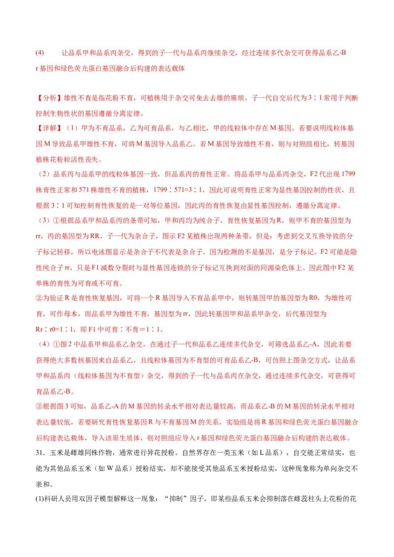 专题16分离定律（解析版)_2024年新高考资料_3.2024专项复习_备战2024年高考生物一轮复习重难点专项突破_专题16分离定律