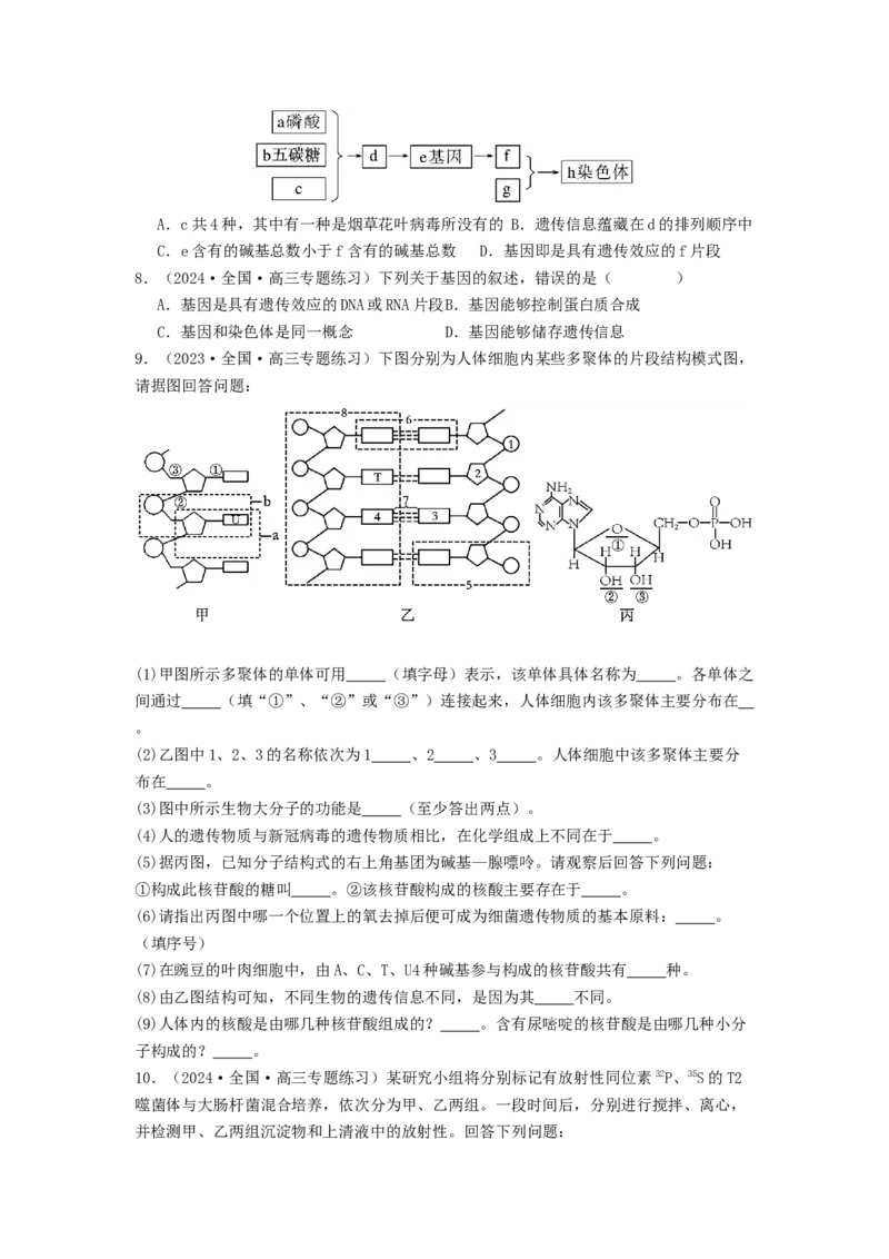 专题13遗传的分子基础（原卷版）_2024年新高考资料_1.2024一轮复习_备战2024年高考生物一轮复习抢分特训（全国通用）