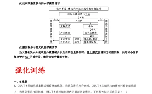 专题28体液调节与神经调节的关系（原卷版)_2024年新高考资料_3.2024专项复习_备战2024年高考生物一轮复习重难点专项突破