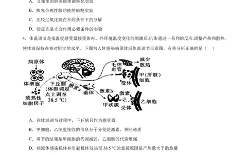 专题28体液调节与神经调节的关系（原卷版)_2024年新高考资料_3.2024专项复习_备战2024年高考生物一轮复习重难点专项突破
