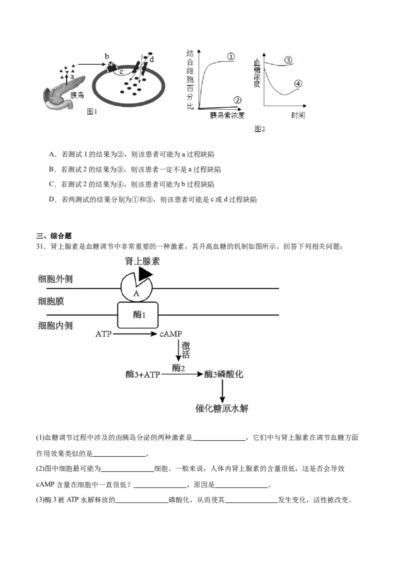 专题28体液调节与神经调节的关系（原卷版)_2024年新高考资料_3.2024专项复习_备战2024年高考生物一轮复习重难点专项突破