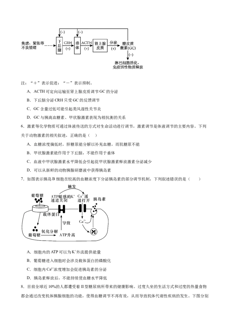 专题28体液调节与神经调节的关系（原卷版)_2024年新高考资料_3.2024专项复习_备战2024年高考生物一轮复习重难点专项突破