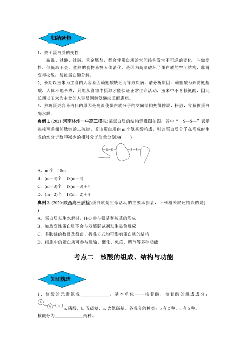 专题03蛋白质和核酸（串讲）（原卷版）_2024年新高考资料_1.2024一轮复习_备战2024年高考生物一轮复习串讲精练（新高考专用）