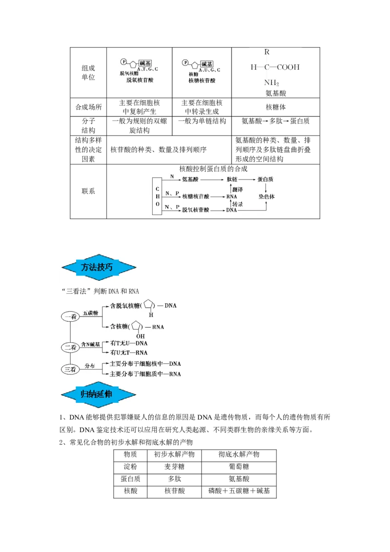 专题03蛋白质和核酸（串讲）（原卷版）_2024年新高考资料_1.2024一轮复习_备战2024年高考生物一轮复习串讲精练（新高考专用）